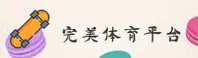 WMP | 完美体育·官方网站