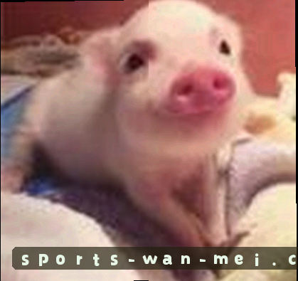 张鹏